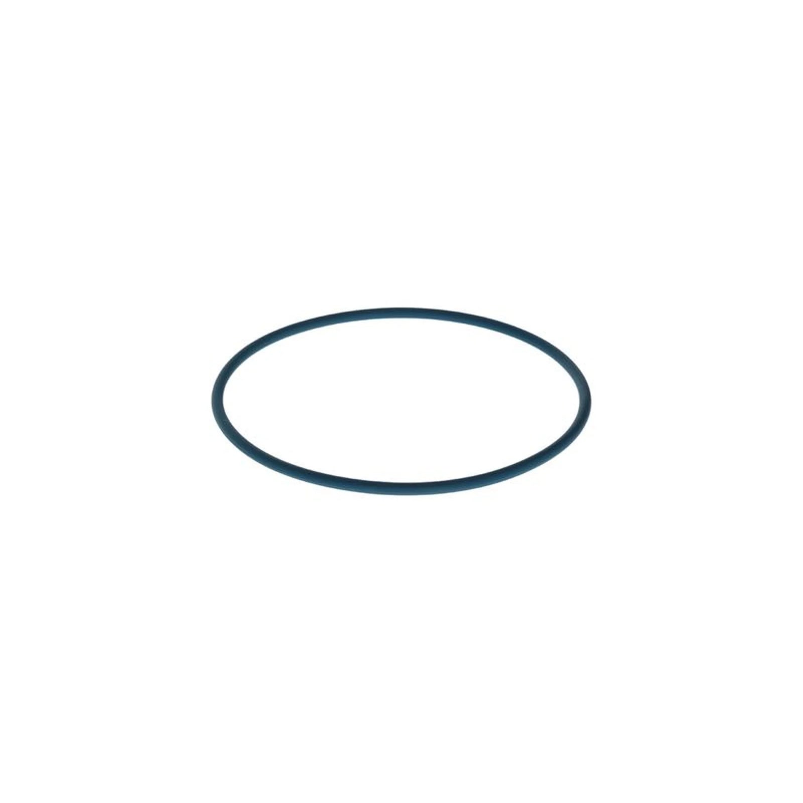 Bosch Rubber Seal Ring F 00N 204 105