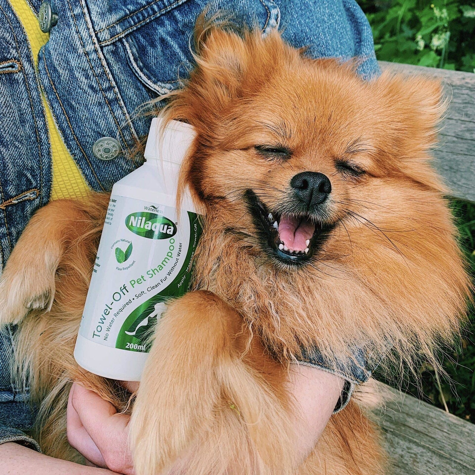 Peppermint & Teatree Pet Shampoo 200Ml TOFS200