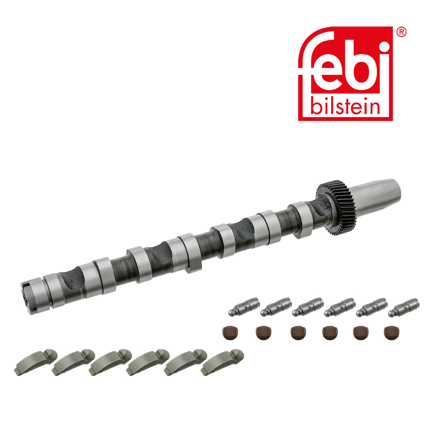 Febi Camshaft Kit Set With Bearings 29920