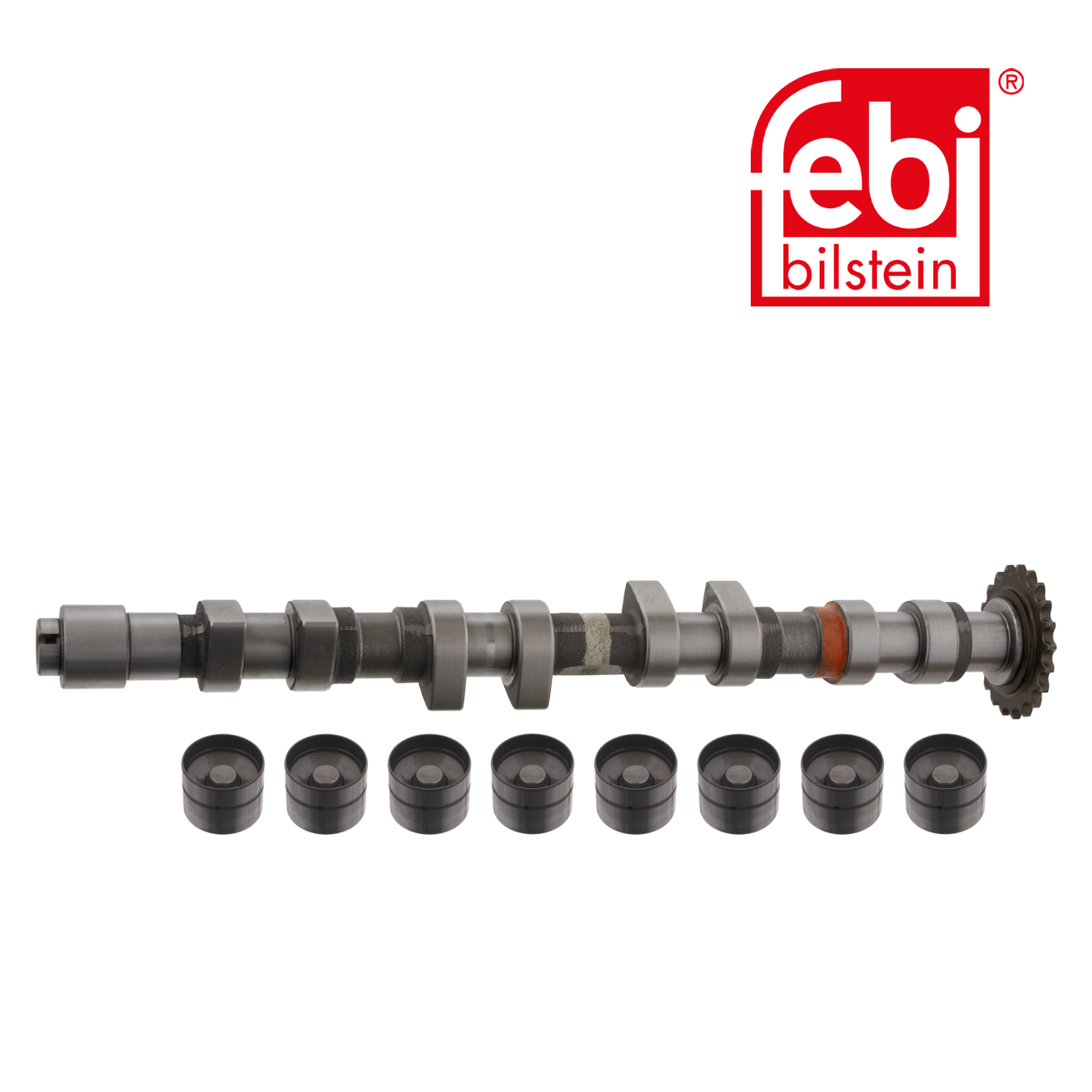 Febi Camshaft Kit Set With Bearings Exhaust Side 33199