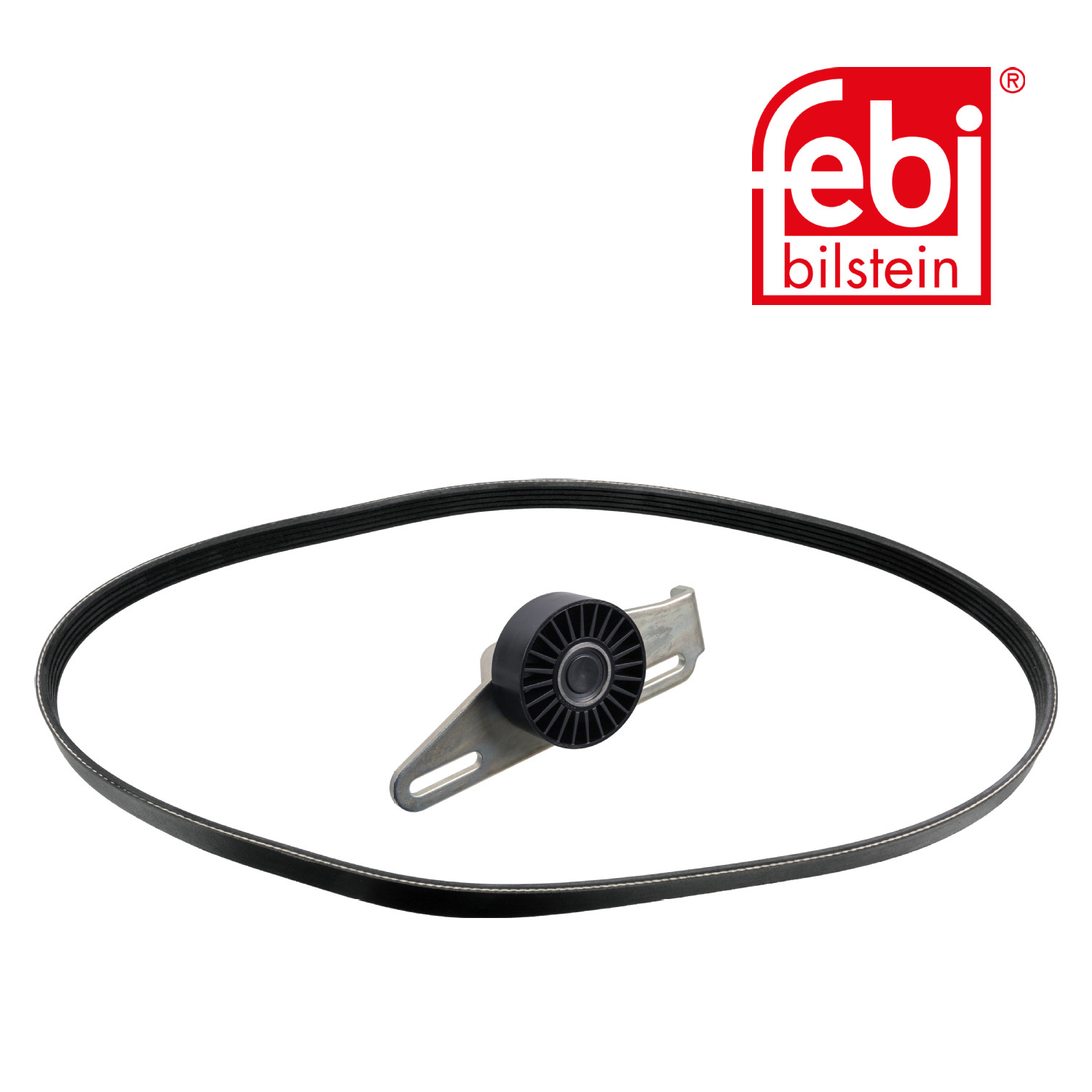 Febi V-Ribbed Belt Set 100306
