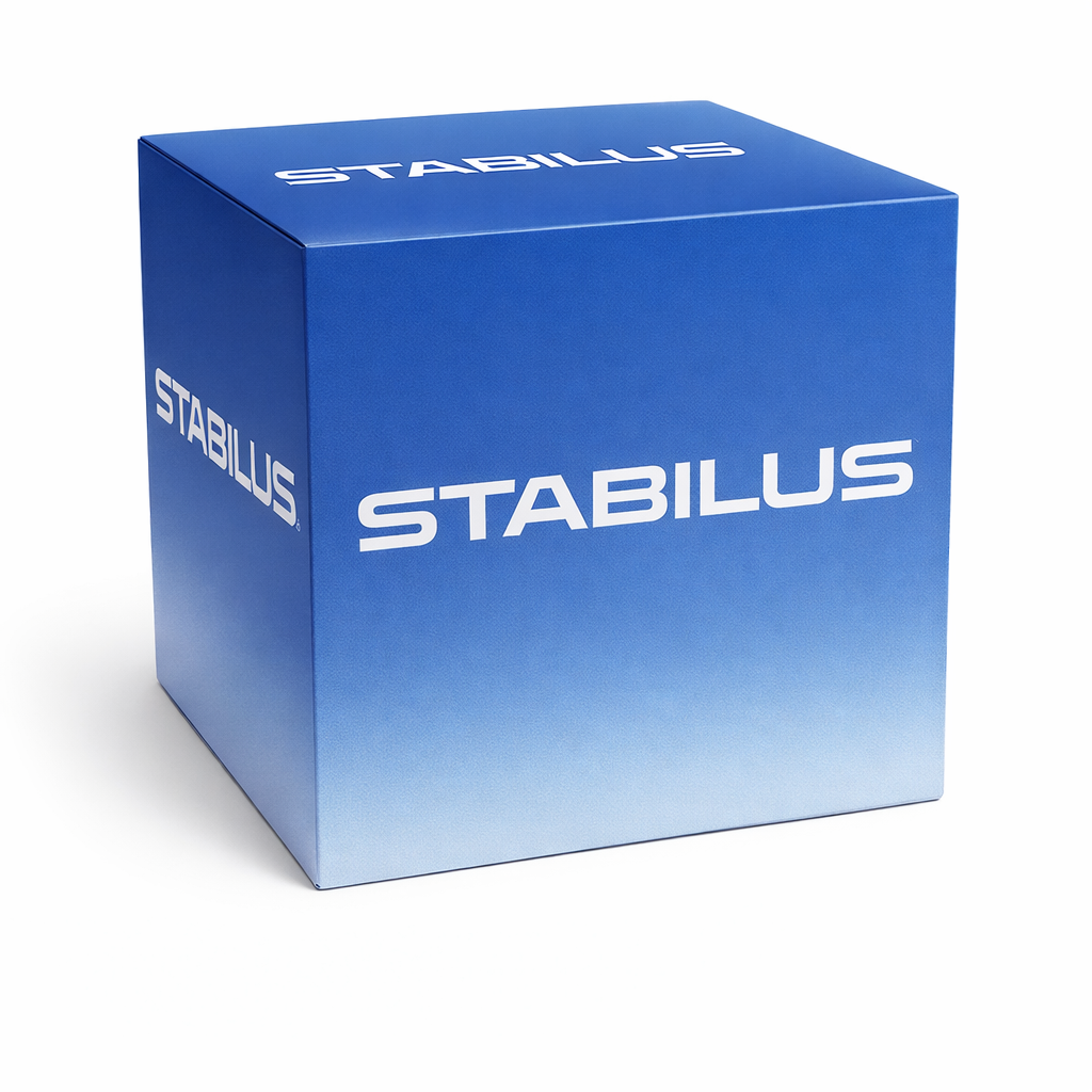 Stabilus Boot Gas Strut Lift Support Tailgate / Boot Li 586261