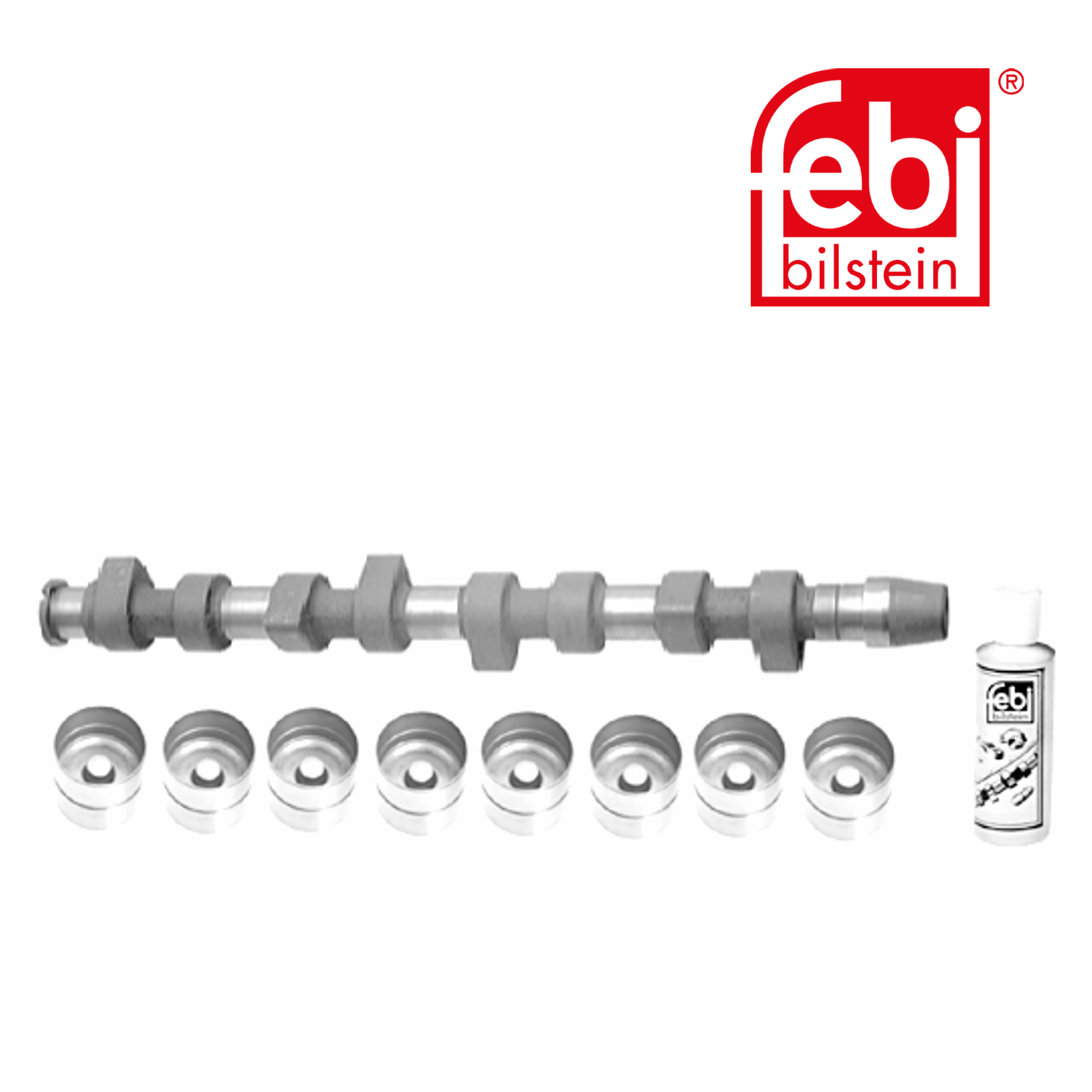 Febi Camshaft Kit Set With Bearings 10010
