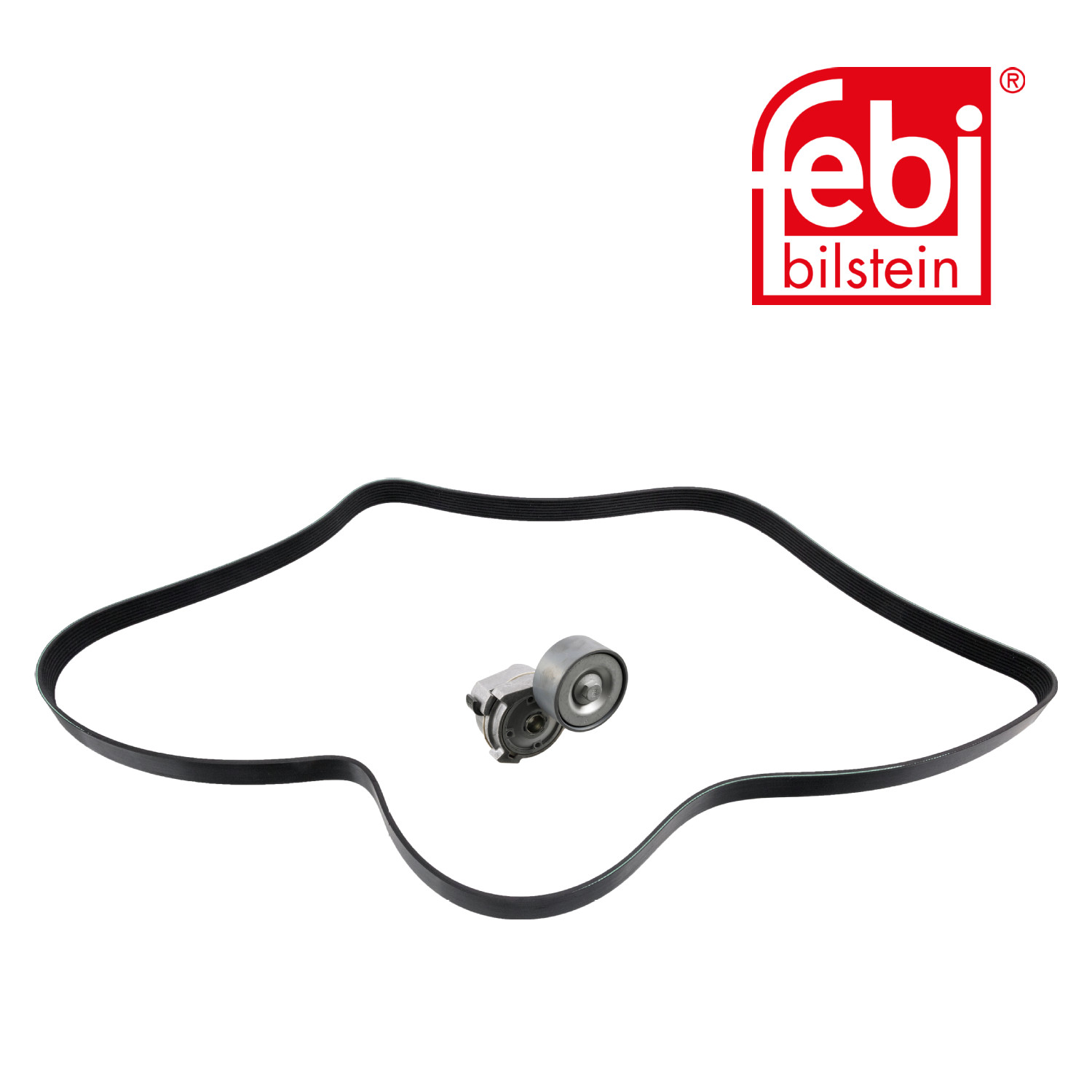 Febi V-Ribbed Belt Set 30207
