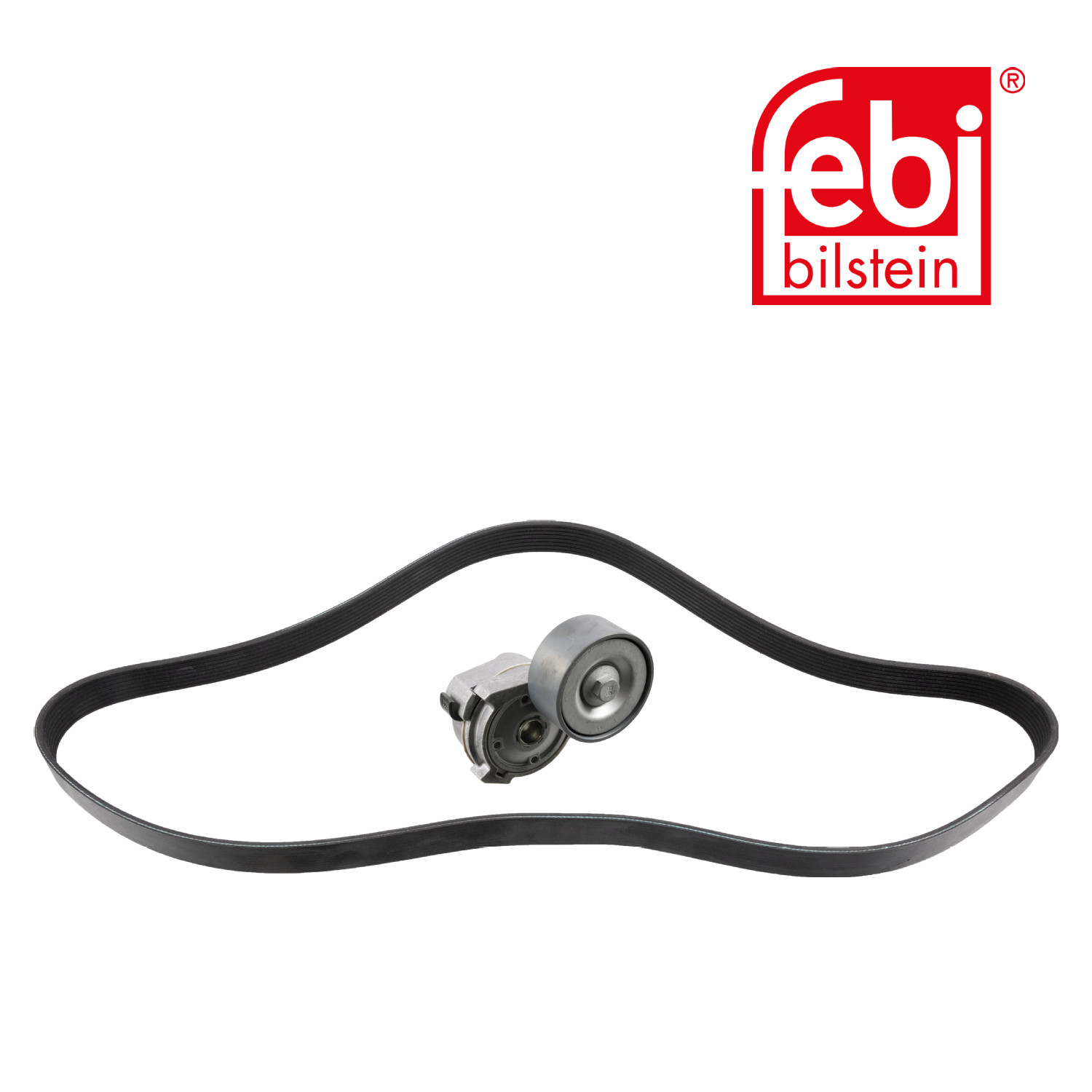 Febi V-Ribbed Belt Set 30205