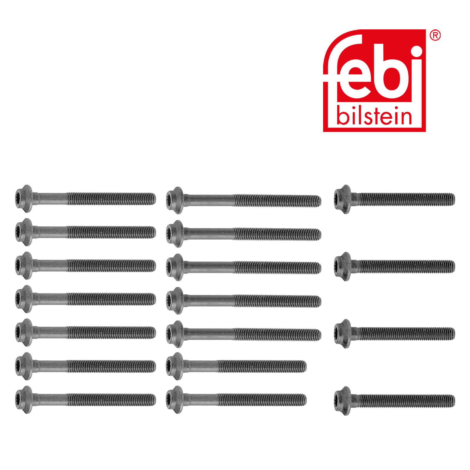 Febi Cylinder Head Bolt Set 10231