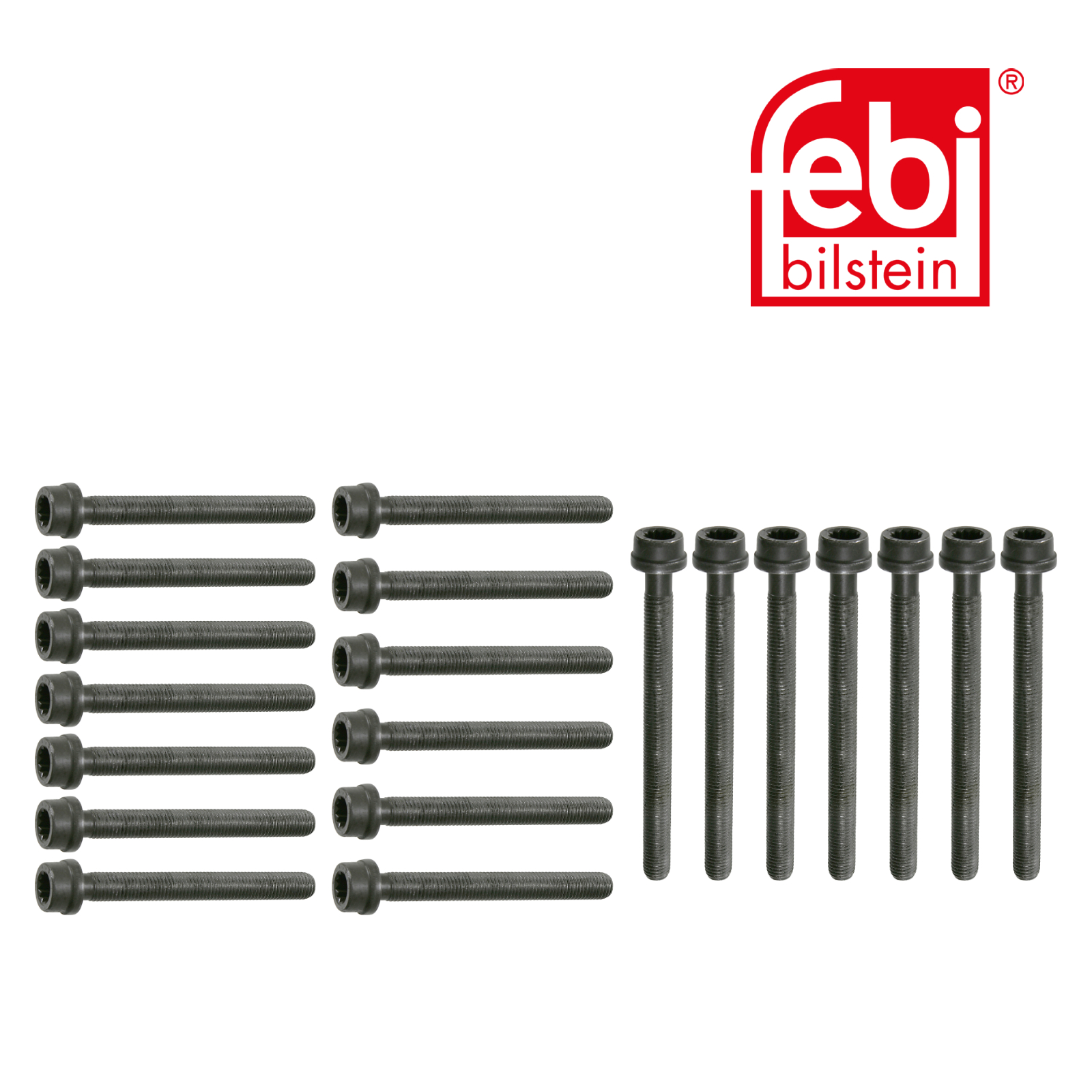 Febi Cylinder Head Bolt Set 22036