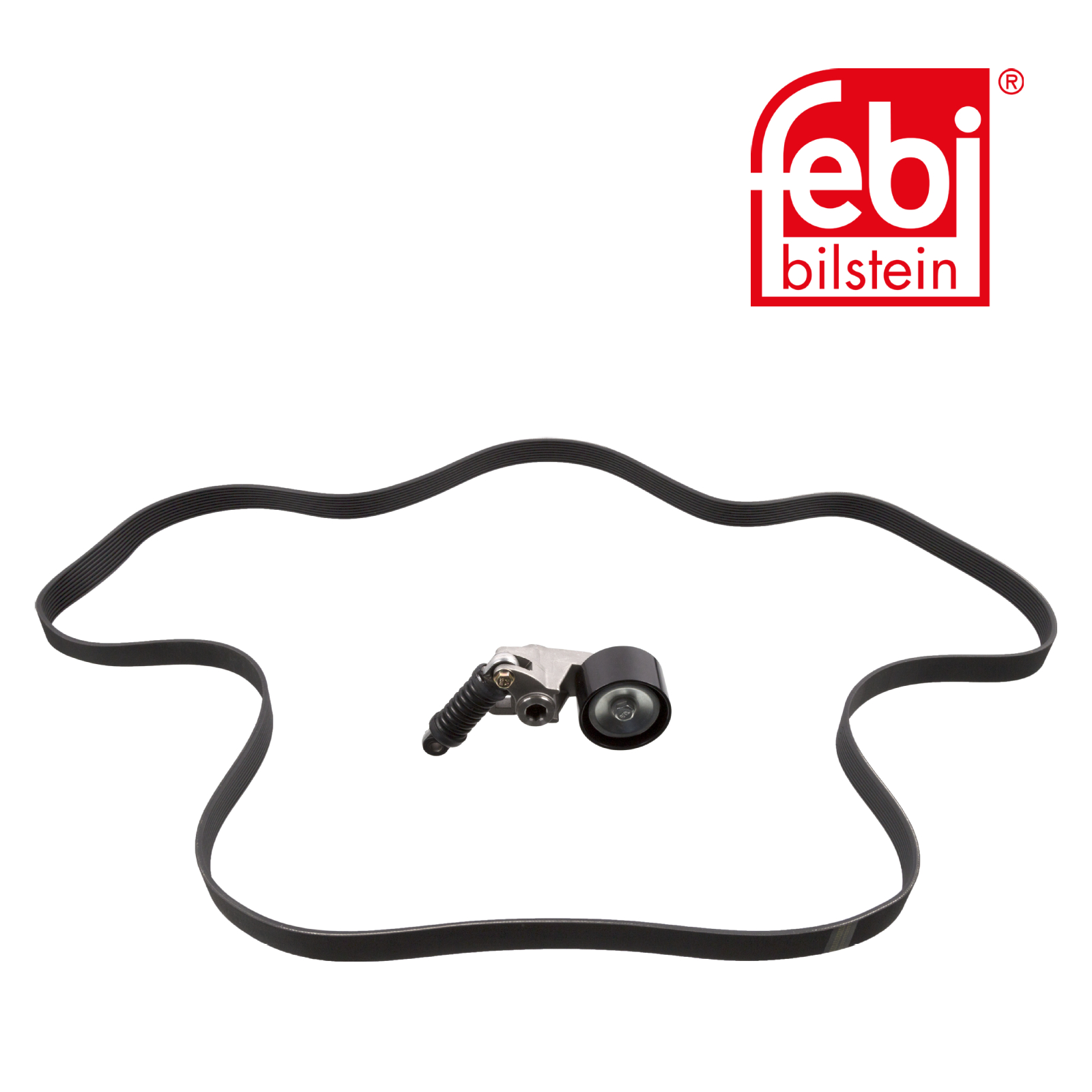 Febi V-Ribbed Belt Set 30211