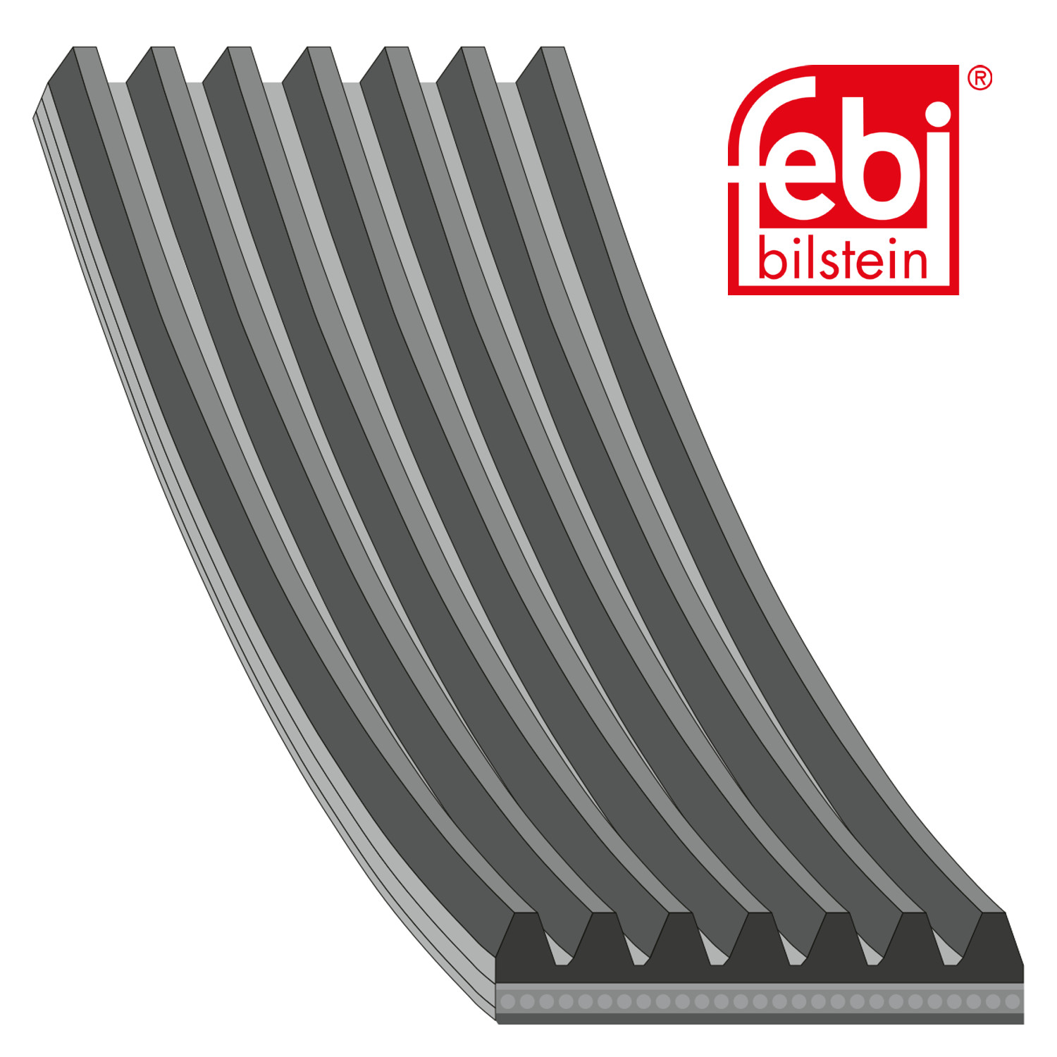 Febi Multi V-Ribbed Drive Belt 170679