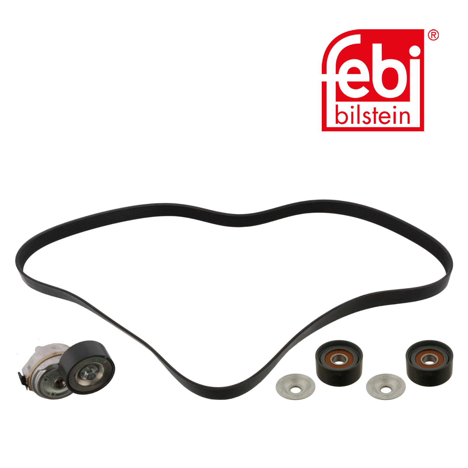 Febi V-Ribbed Belt Set 45969