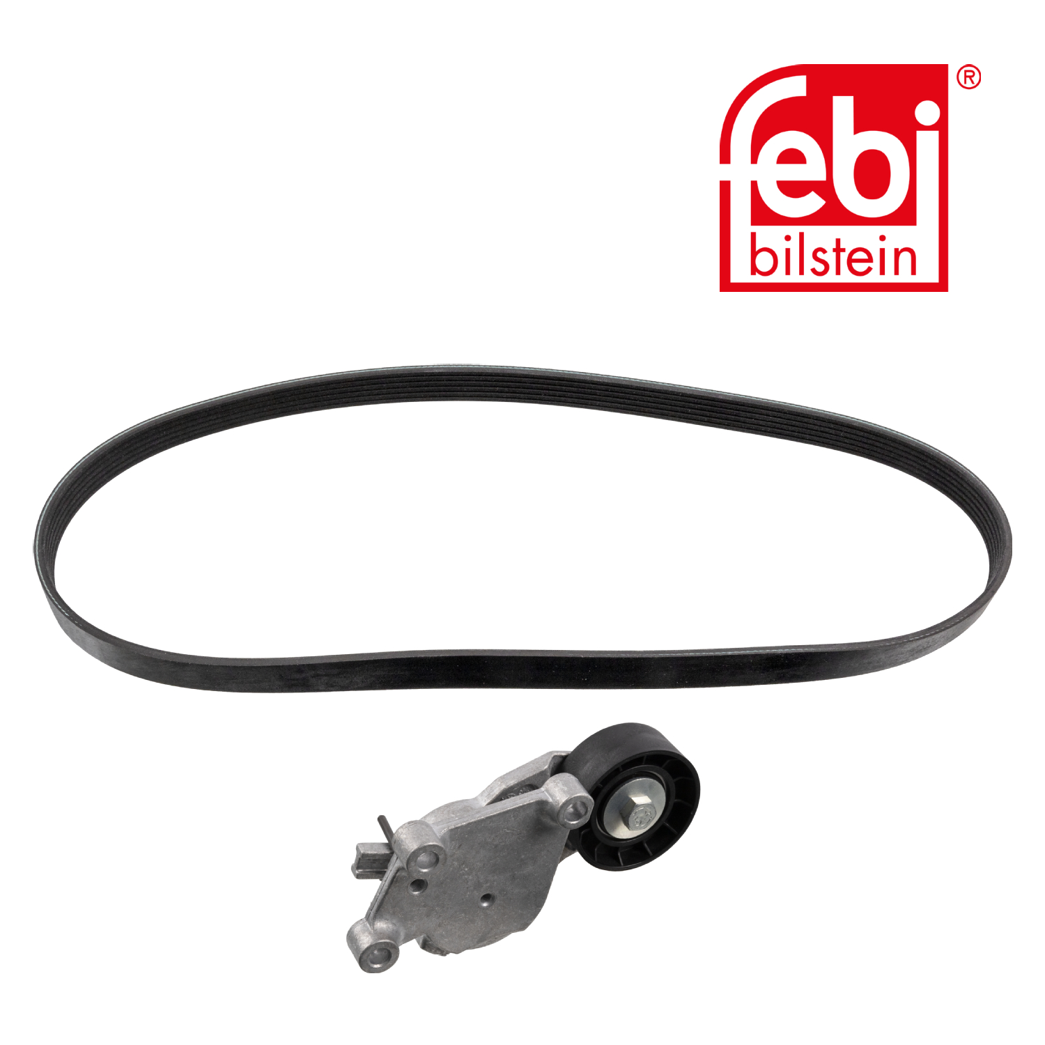 Febi V-Ribbed Belt Set 176080