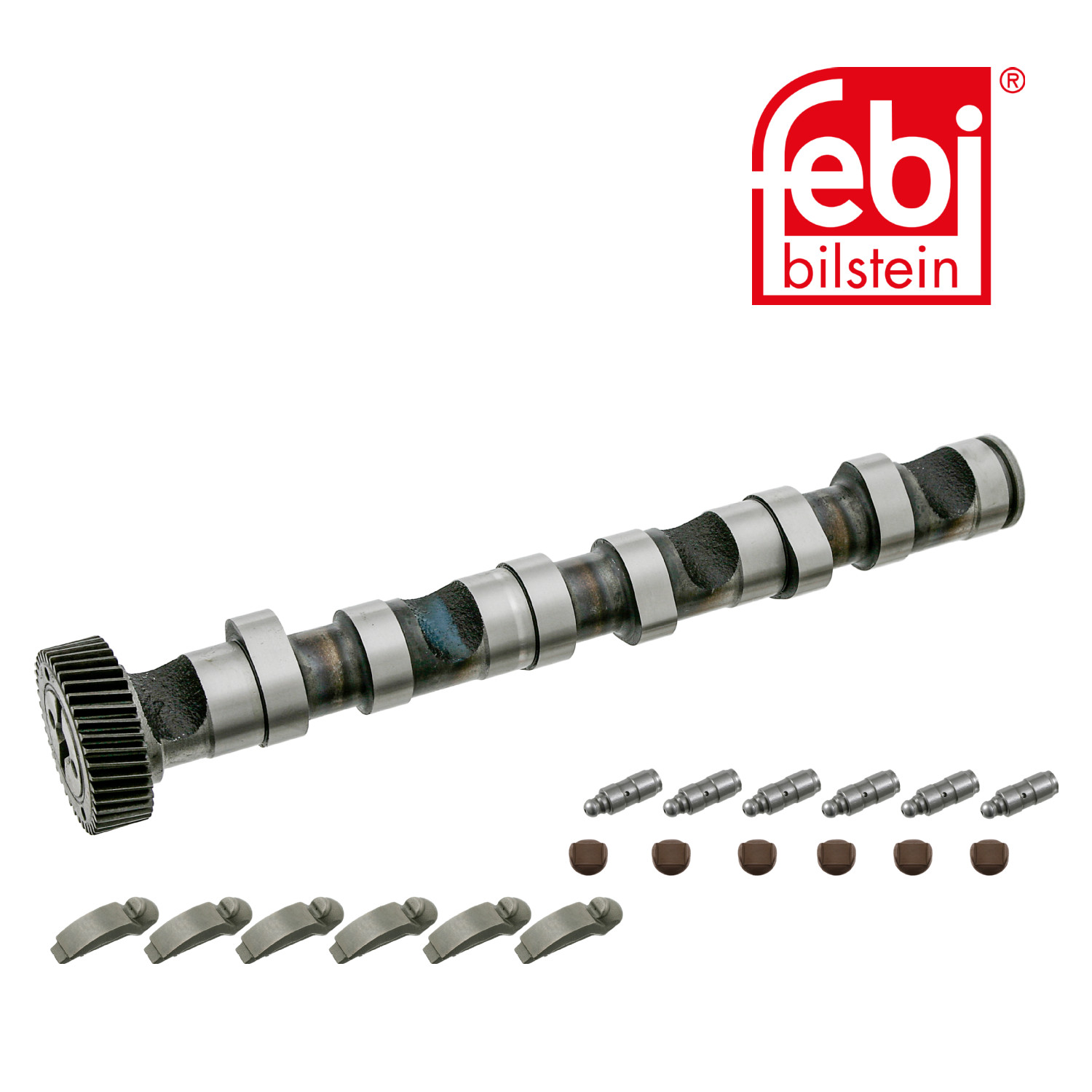 Febi Camshaft Kit Set With Bearings 29918