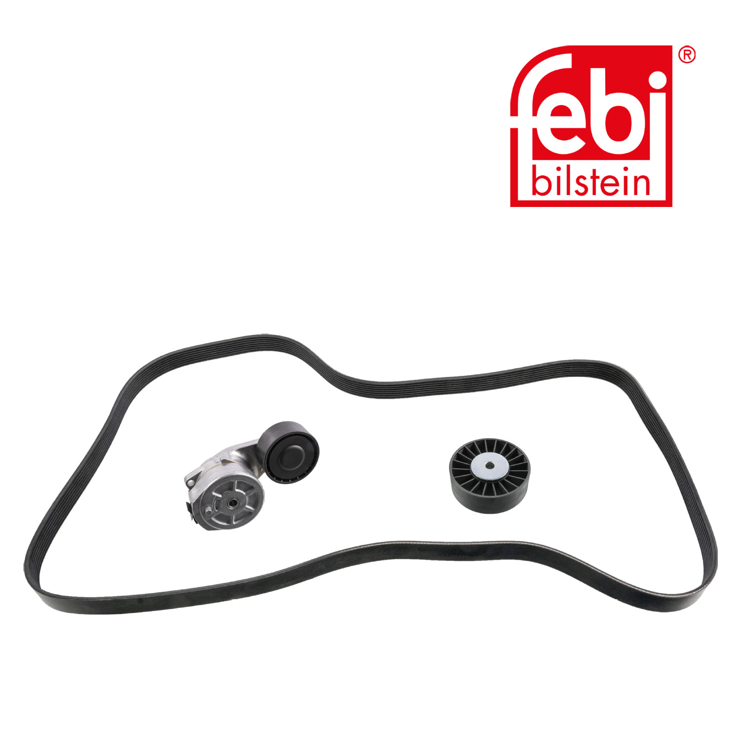 Febi V-Ribbed Belt Set 31625