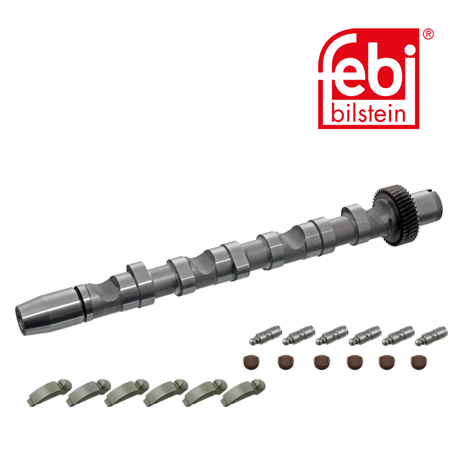 Febi Camshaft Kit Set With Bearings 29916