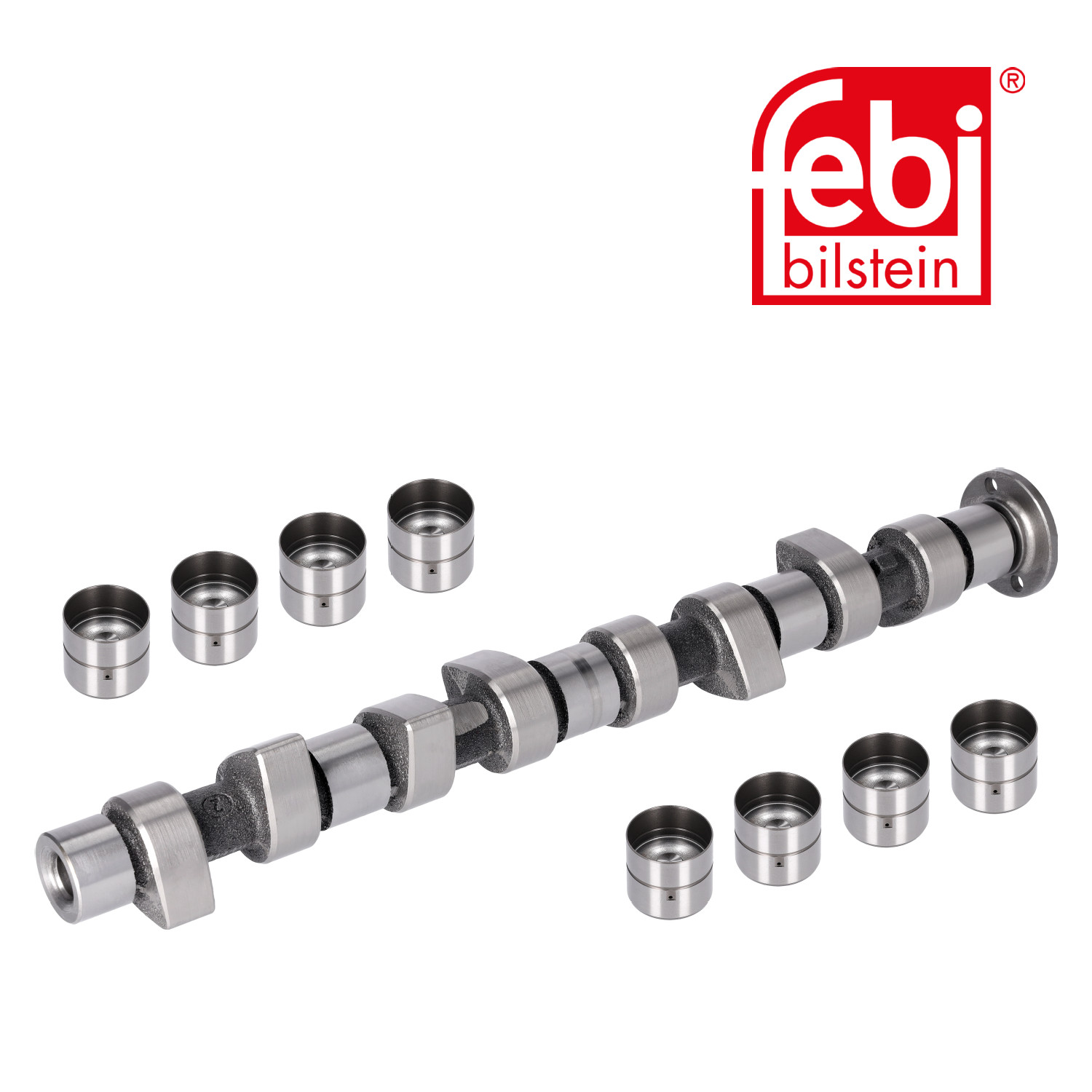 Febi Camshaft Kit Set With Bearings 03131