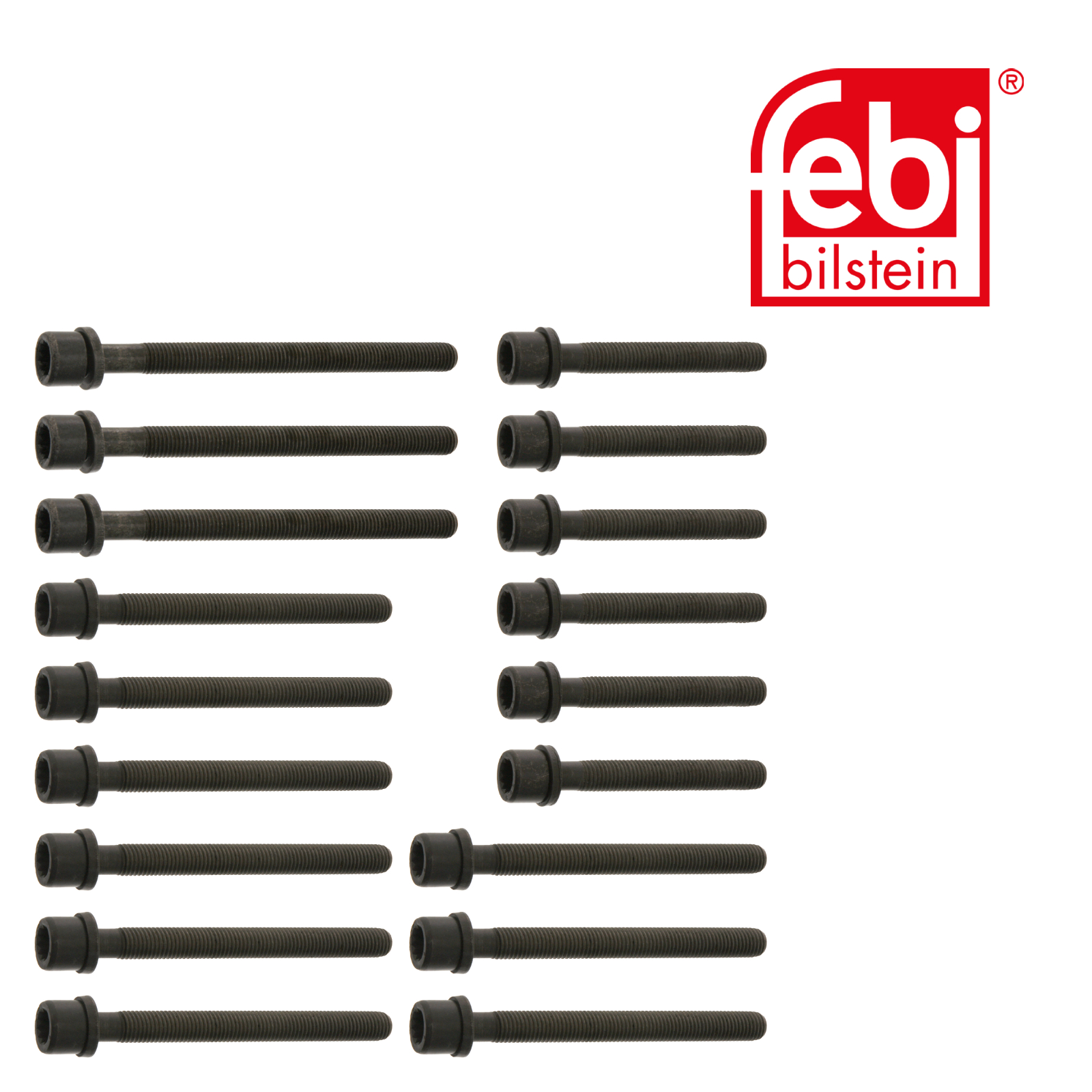 Febi Cylinder Head Bolt Set 14344
