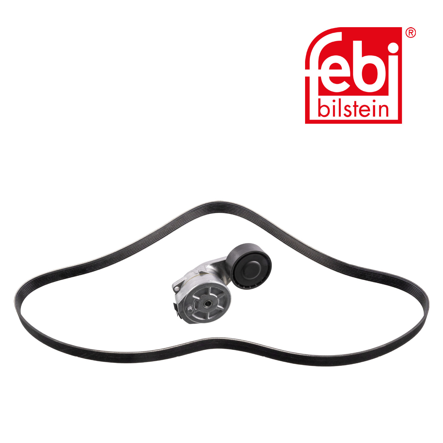 Febi V-Ribbed Belt Set 30209