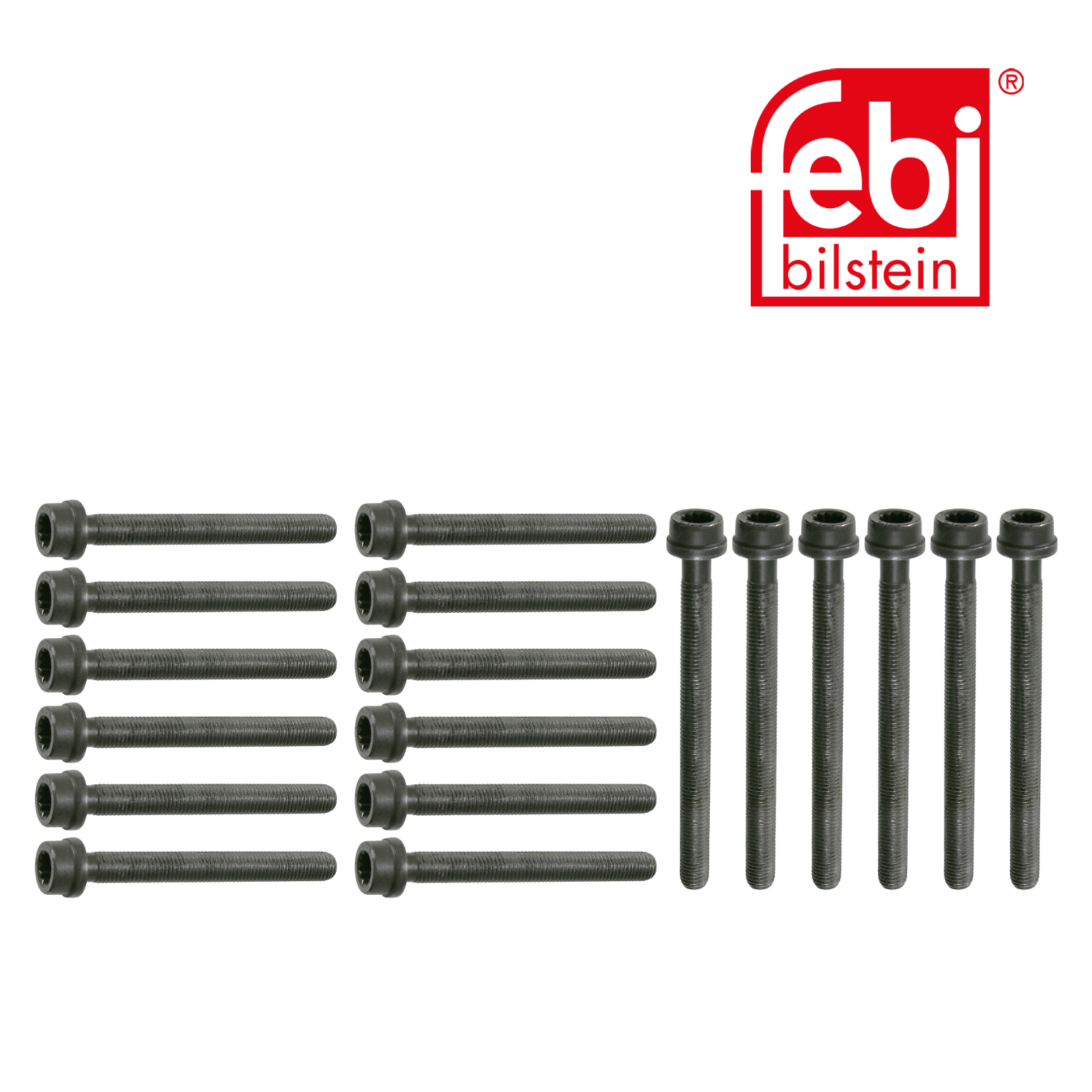 Febi Cylinder Head Bolt Set 22034