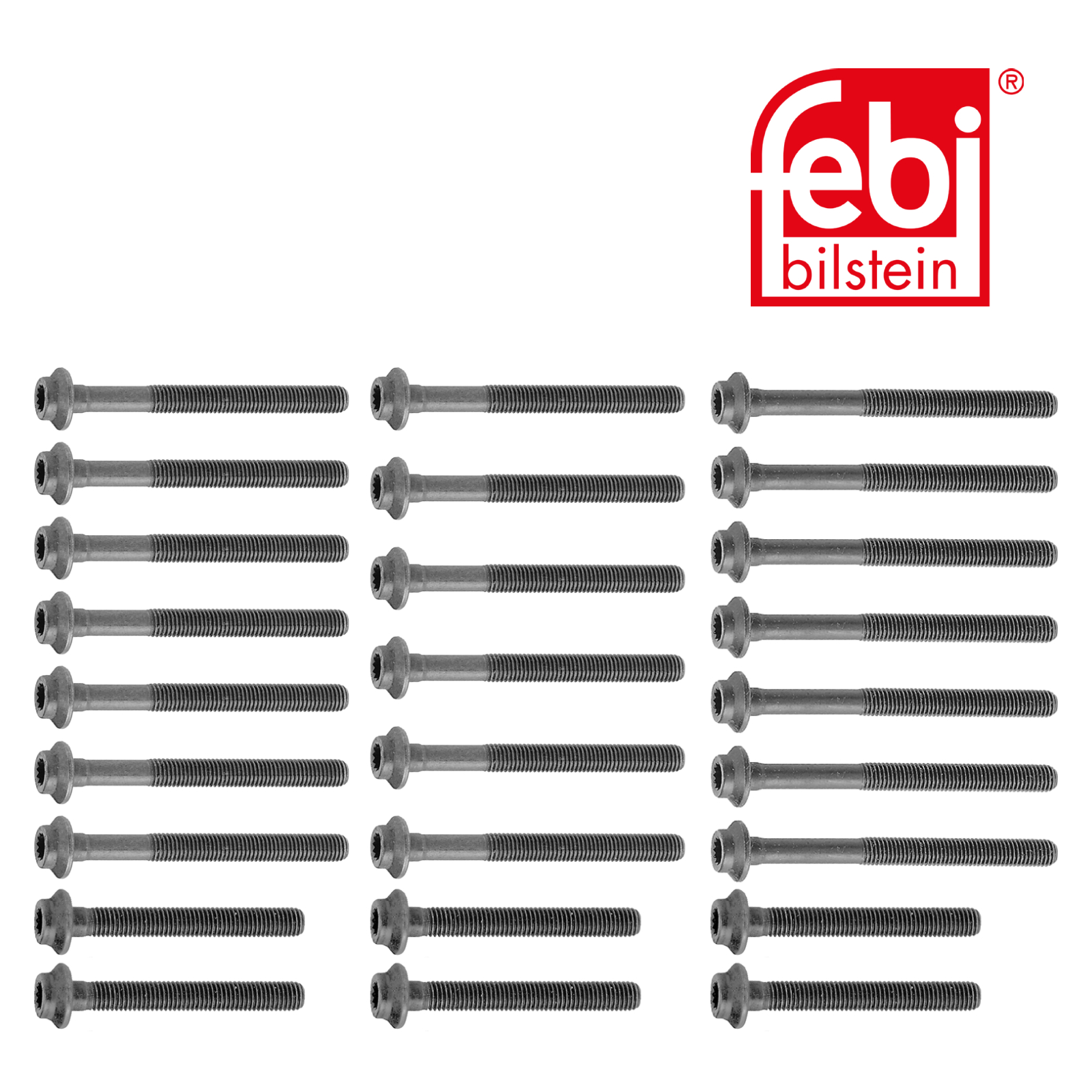 Febi Cylinder Head Bolt Set 10234