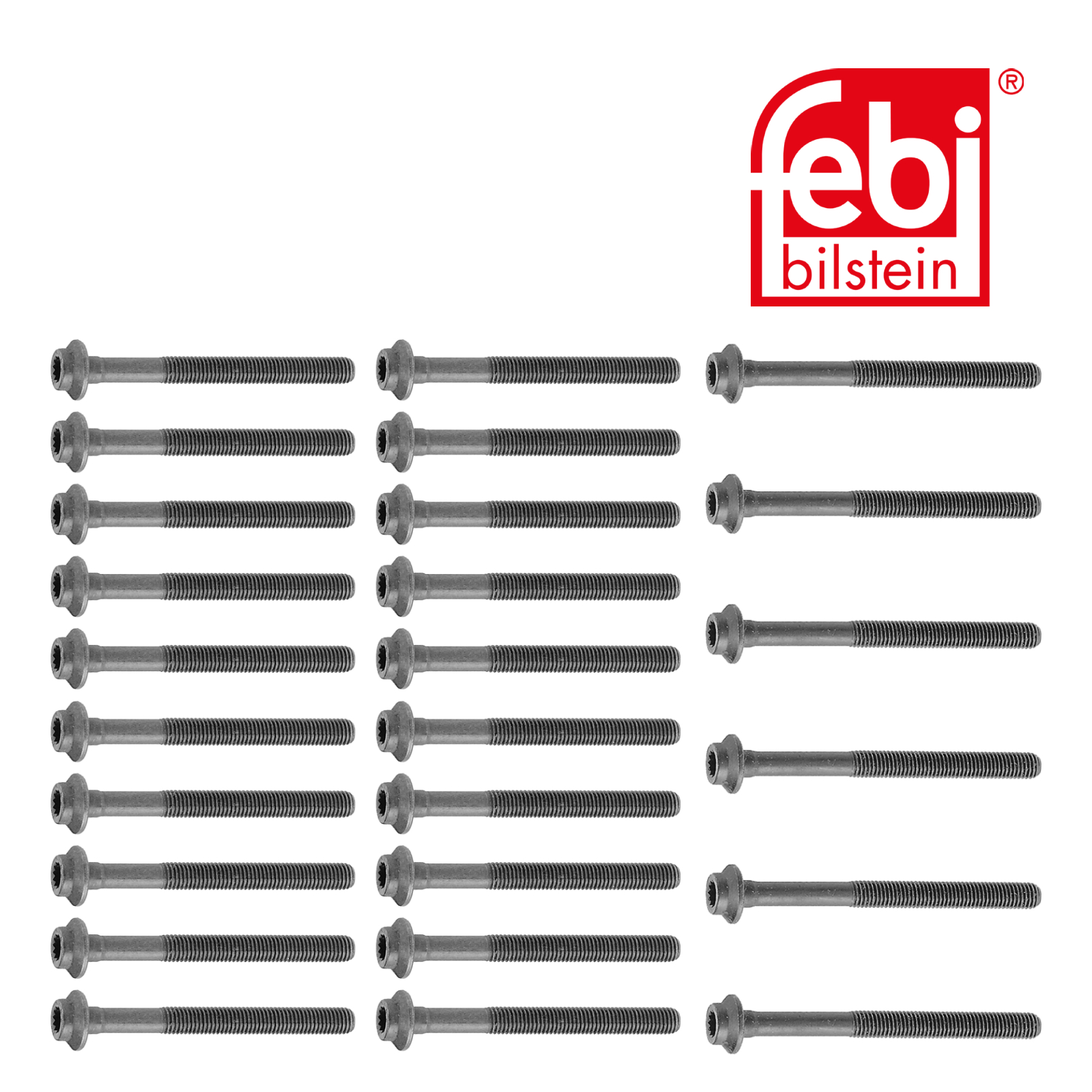 Febi Cylinder Head Bolt Set 10237
