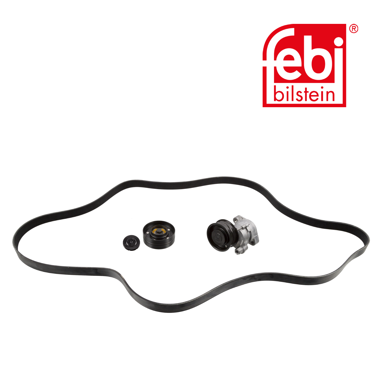 Febi V-Ribbed Belt Set 30418