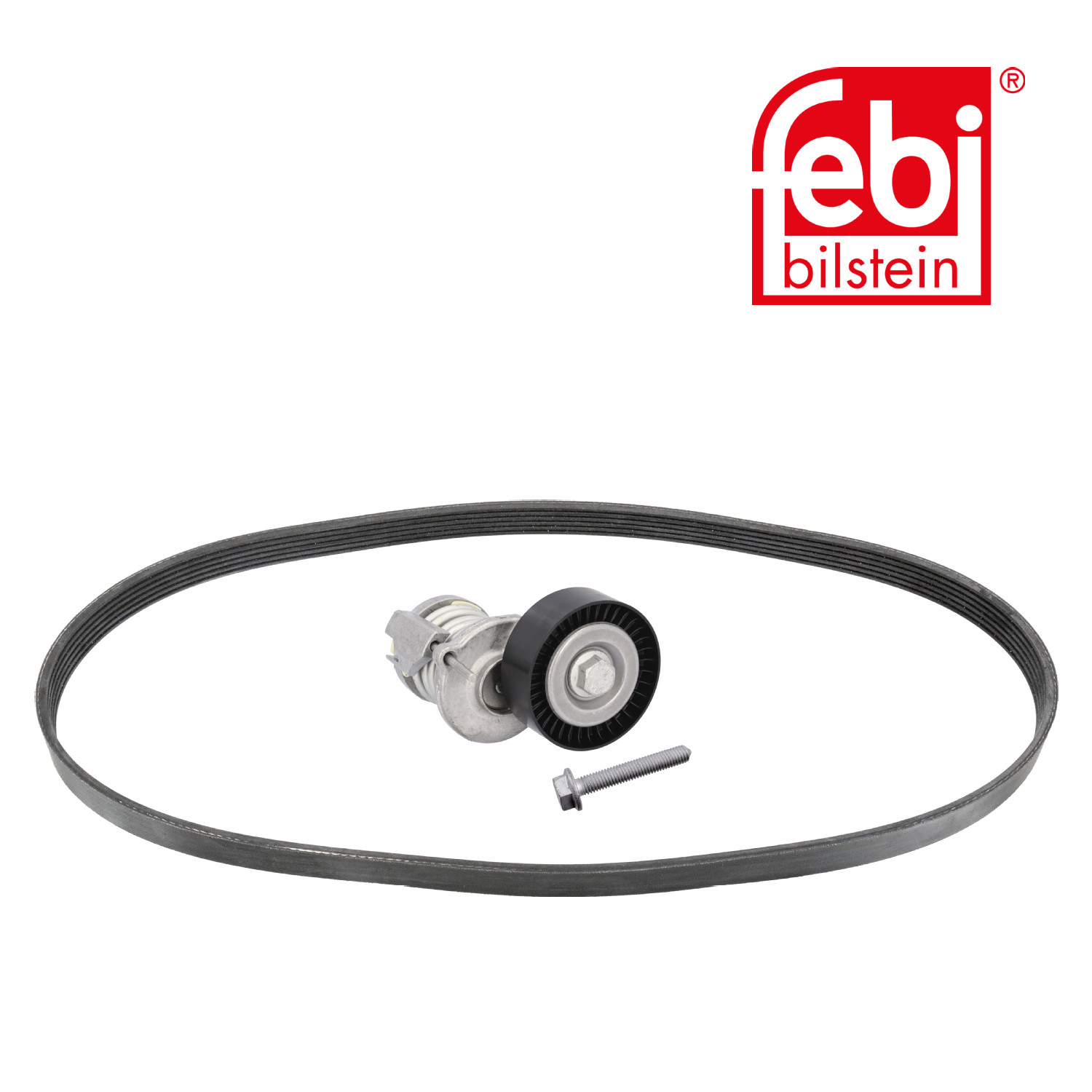 Febi V-Ribbed Belt Set 40308