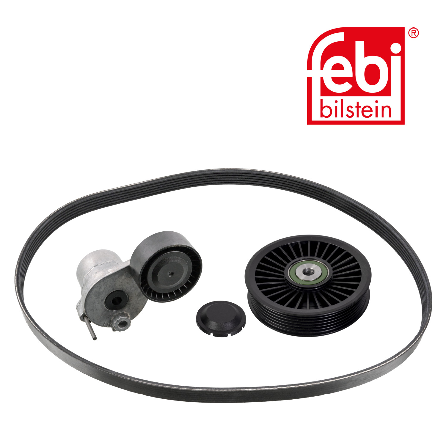Febi V-Ribbed Belt Set 177981