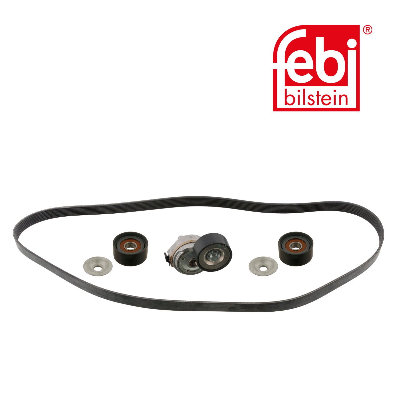Febi V-Ribbed Belt Set 45966