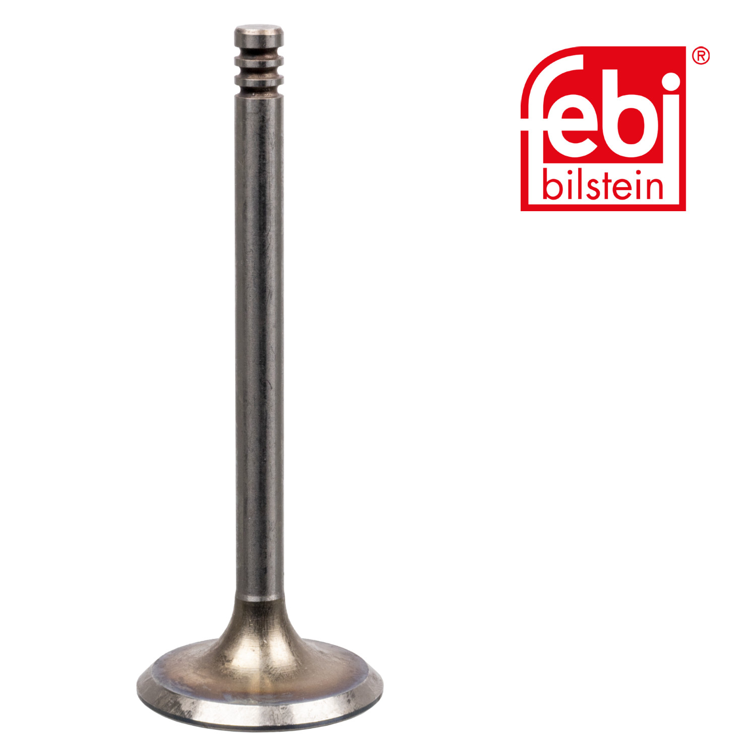 Febi Engine Intake Valve Head 19992