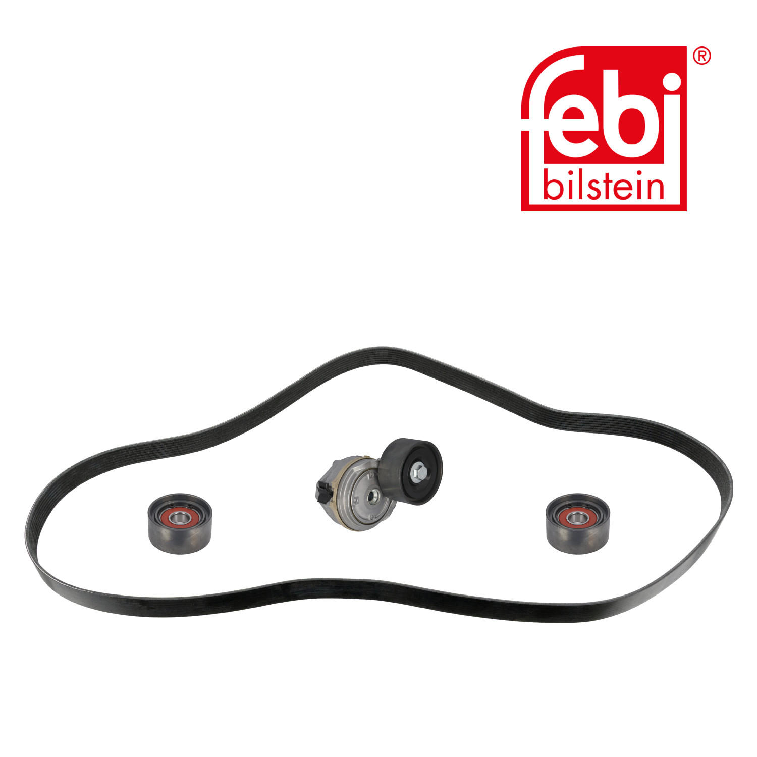Febi V-Ribbed Belt Set 45967