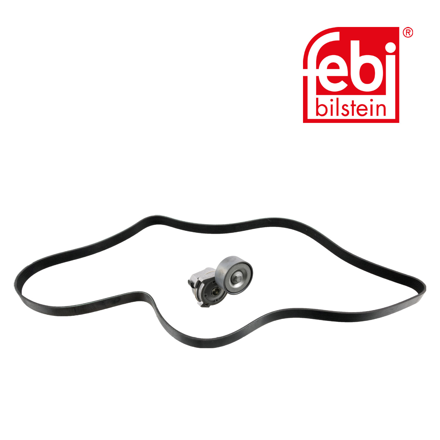 Febi V-Ribbed Belt Set 30208
